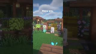 Thumbnail for The forever home for oure sheepies