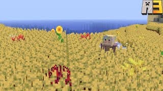 Thumbnail for Arcadia SMP S3 - #14: The Busiest Builder on the Server
