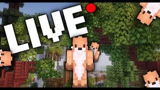 Thumbnail for LIVE Finishing up the tree and landscaping on Arcadia SMP! !squego