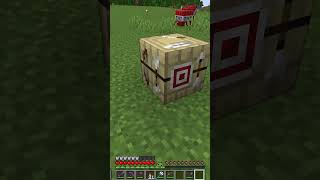 Thumbnail for Using the Fletching Table as Mojang Intended